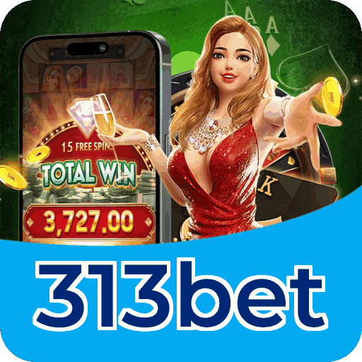 313bet Fortune — dados de jogo e conta conforme LGPD
