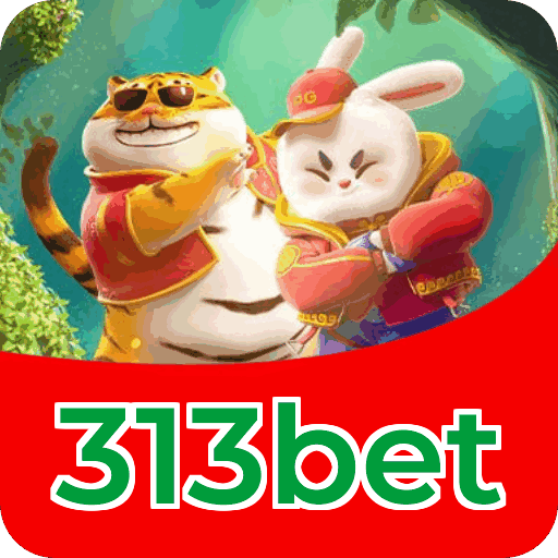 313bet VIP — segmentação e política de privacidade da plataforma