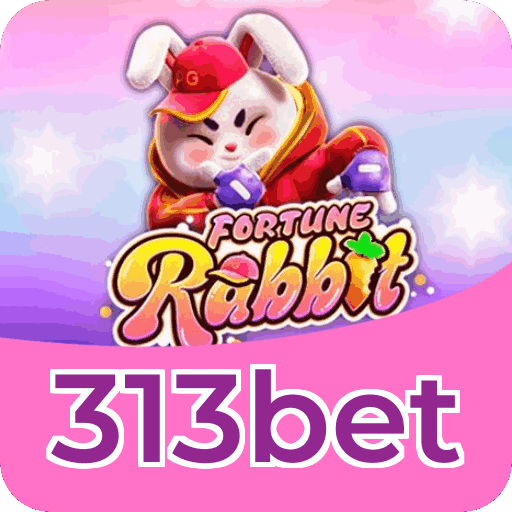 313bet apostas — dados e LGPD no site